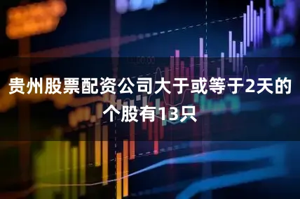 贵州股票配资公司大于或等于2天的个股有13只