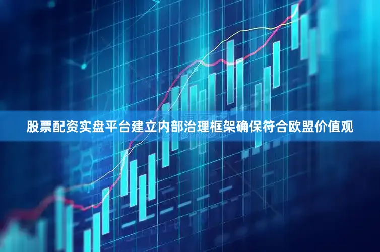 股票配资实盘平台建立内部治理框架确保符合欧盟价值观